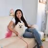 stephani134